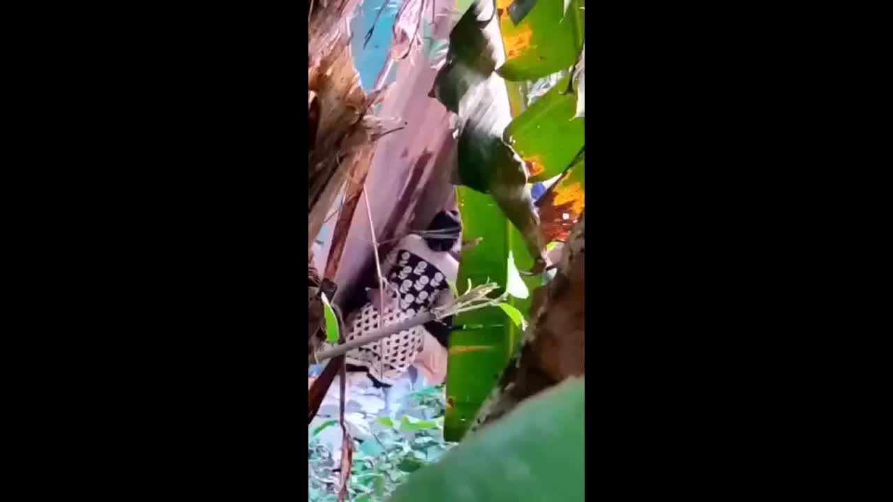 MYD-RND-12212024- 51