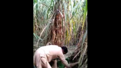 Desi Bhabhi Fucks Her Sweetheart In Field