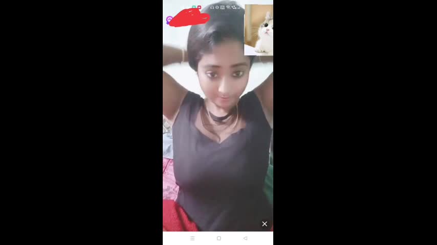 Myd chamet mb collection 1812025 -362