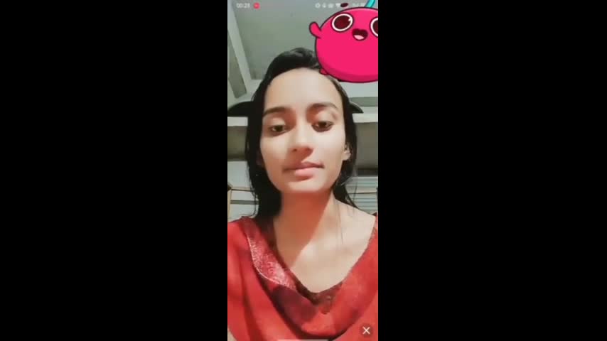 Myd random chamet collection 942025-376