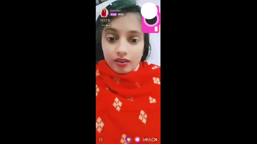 Myd random chamet collection 942025-248